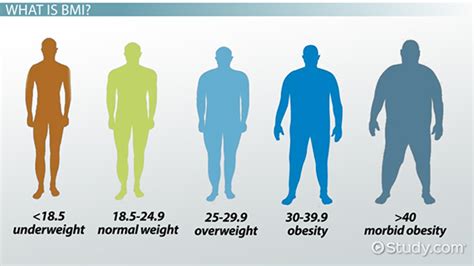 What Does It Mean to Be Underweight 
