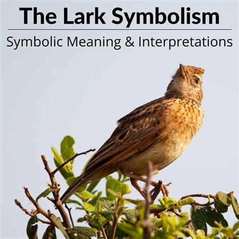 What Does Lark Symbolize