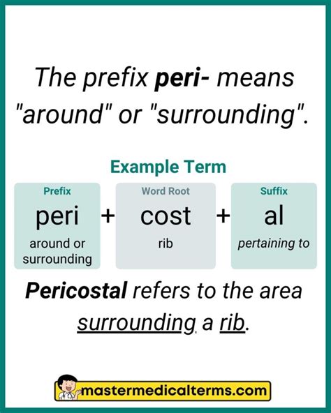 What Does The Medical Prefix Peri Mean Day of Difference