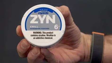 What Does a Zyn Look Like: A Visual Guide to Nicotine Pouches