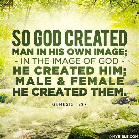 What Does the Bible Say About God Created Us In His Image?