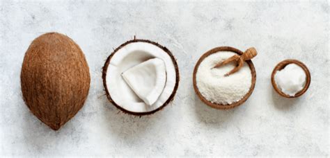 What Fodmap Is In Coconut? - Stellina Marfa