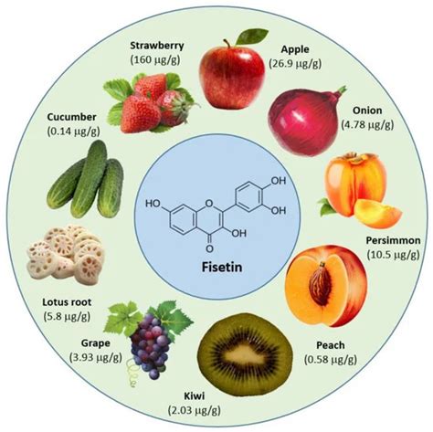 What Foods Contain Fisetin and How Fisetin Benefit For People ...