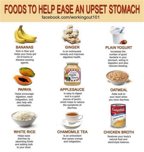 What Foods to Eat to Coat the Stomach to Avoid Nausea …