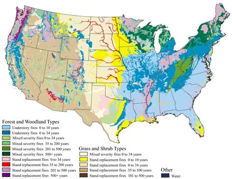 What Happens To Plants After A Wildfire? - RedZone