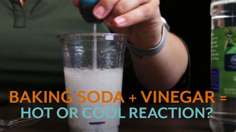 What Happens When You Mix Baking Soda With Vinegar to Inflate …