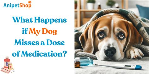 What Happens if Your Dog Misses a Dose of …