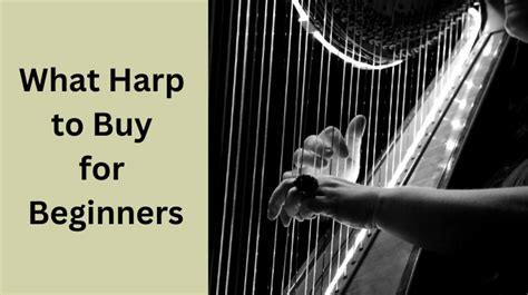 What Harp to Buy for Beginners - String Budget