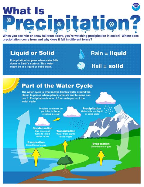 What Humidity Level Does Fog, Mist, And Rain Occur? - Ambient …