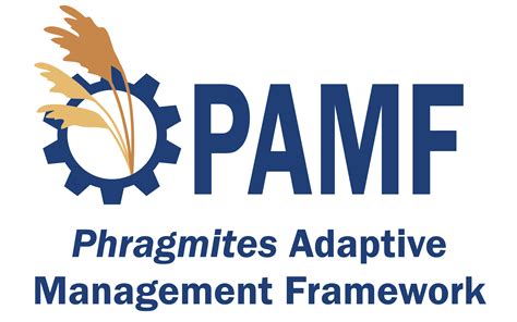 What Insurance Does Pamf Accept