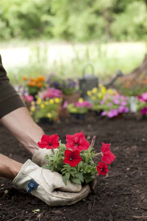 What Iowa Gardeners Need to Know This Spring - AZ Animals