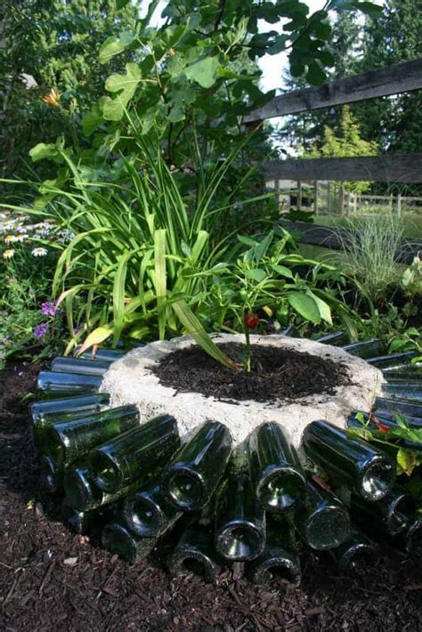 What Is A Bottle Garden: Tips On Creating Glass Bottle …