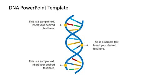 What Is A Dna Template Strand