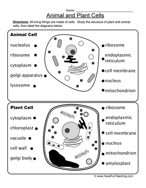 What Is A Worksheet Cell