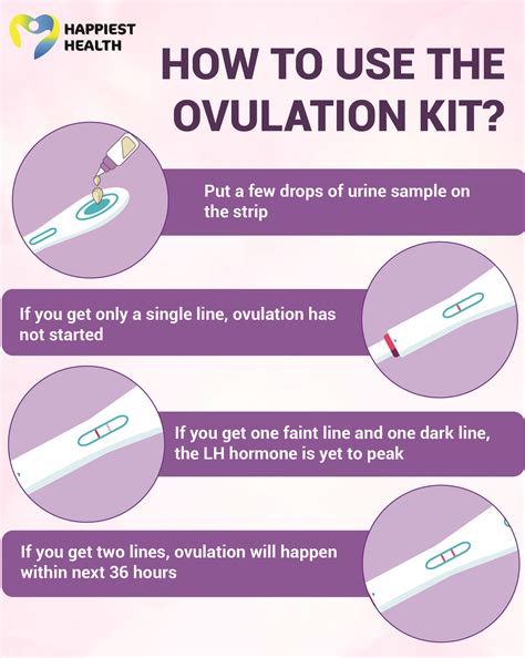 What Is An Ovulation Test And How Does It Work