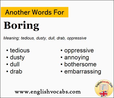 What Is Another Word For Boring Person