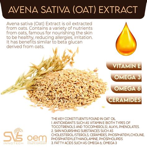 What Is Avena Sativa Oat Kernel Extract And How Is It Used In . 