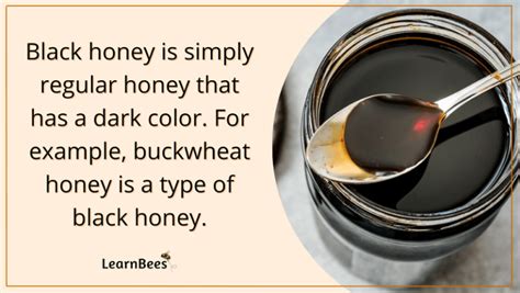 What Is Black Honey? - LearnBees