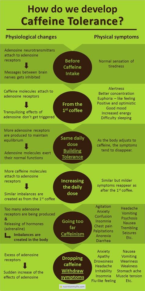 What Is Caffeine Tolerance 