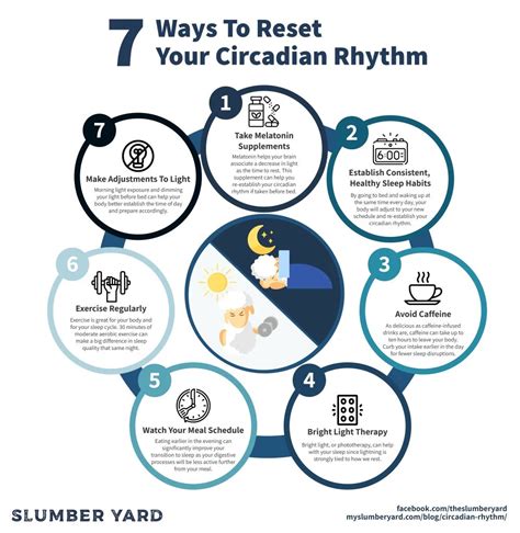 What Is Circadian Rhythm and How Can You Reset It Everyday Health
