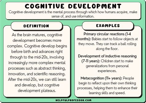 What Is Cognitive Development? 3 Psychology Theories