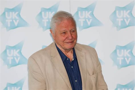 What Is David Attenborough Famous For? - Celeb Answers