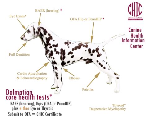 What Is Dog Ofa Testing