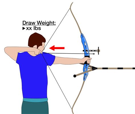 What Is Draw Weight In Archery