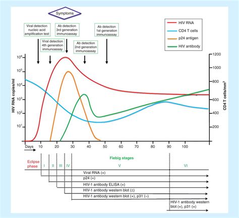 What Is Hiv Rna Early Detection? - Researchtopics.quest