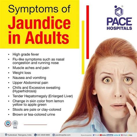 What Is Jaundice?, Signs And Symptoms Of Jaundice, Types Of Jaundice …