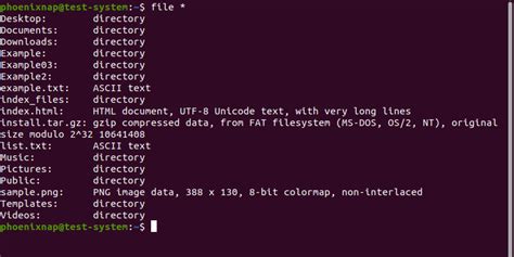 What Is Linux File Command and How To Determine File Type