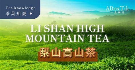 What Is Lishan Tea? High Mountain Tea Of Taiwan? - ABoxTik