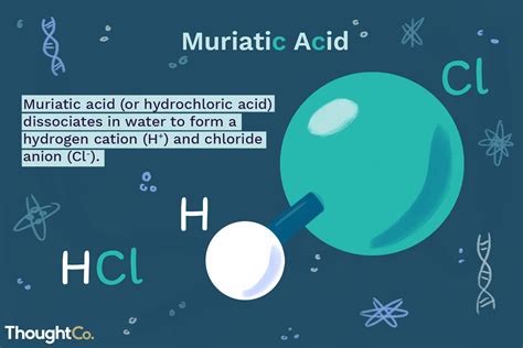 What Is Muriatic Acid? Facts and Uses