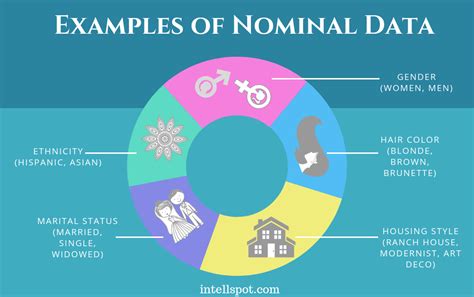 What Is Nominal Data? Examples & Definition