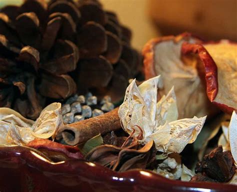 What Is Potpourri, How To Use it The Right Way: The Complete …