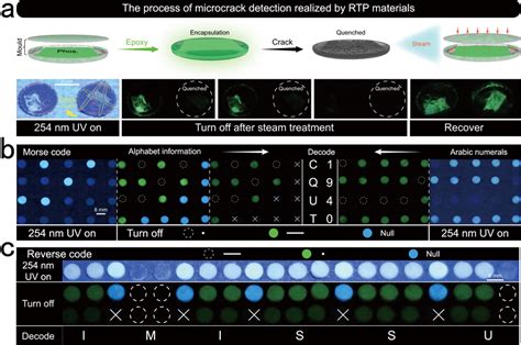 What Is Rtp Detection: How to Easily Detect and Monitor Devices on Your Network image 1