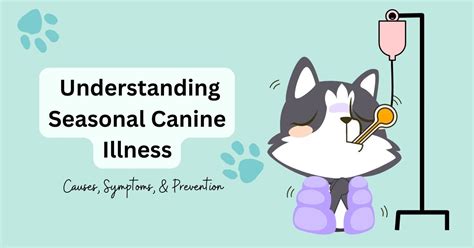 What Is Seasonal Canine illness & Is My Dog Suffering From …