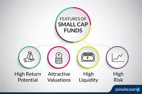 What Is Small Cap Fund? Who Should Invest in Such Funds and Wh…