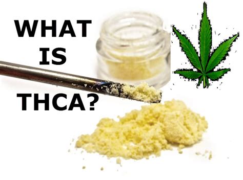 What Is THCA?