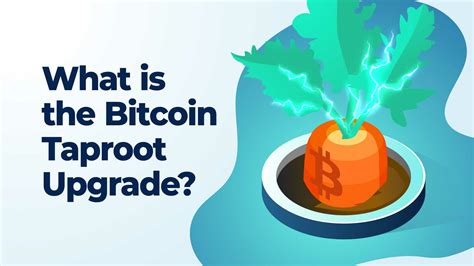 What Is Taproot Bitcoin