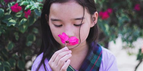 What Is That Smell