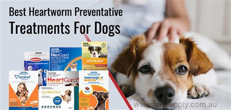 What Is The Best Heartworm Preventative For Dogs