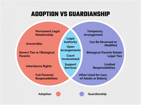 What Is The Difference Between Guardianship & Custody Clocr