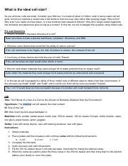 What Is The Ideal Cell Size Lab Report Answers