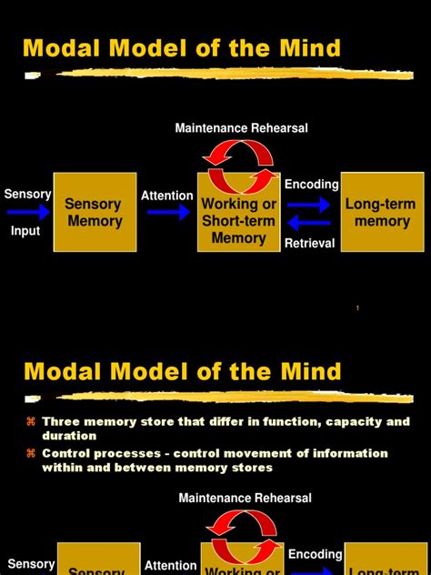 What Is The Modal Model Of Memory? BetterHelp