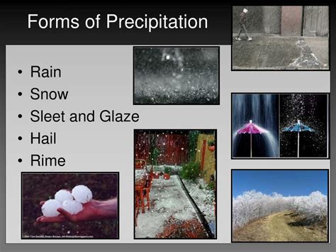 What Is The Most Common Form Of Precipitation
