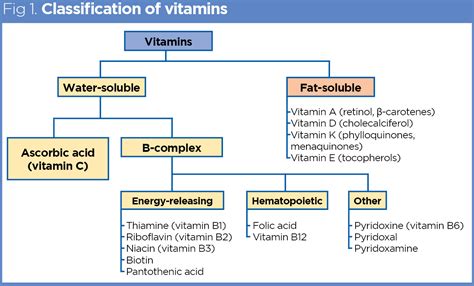 What Is Vitamin Classification? - Stamina Comfort