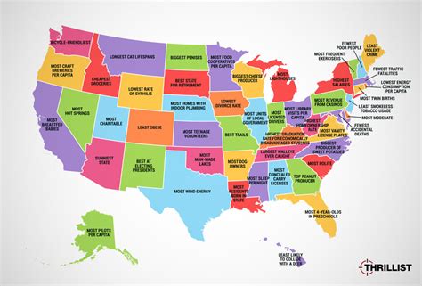 What Is Your State