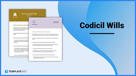 What Is a Codicil? - The Balance