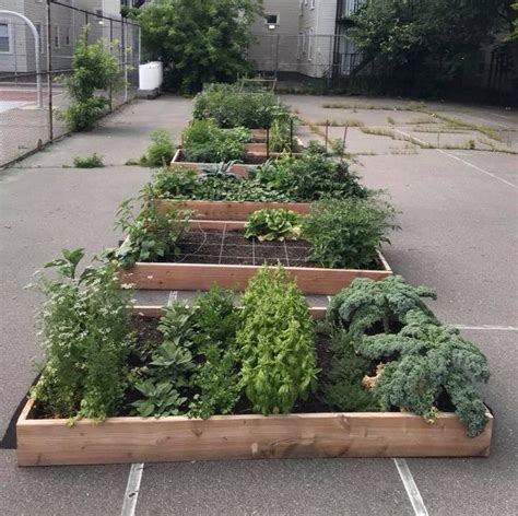 What Is a Community Garden Benefits amp How to Start Your Own